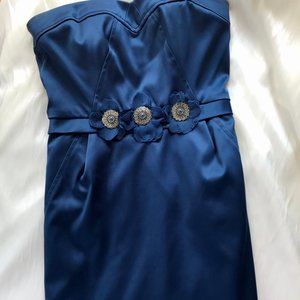 BCBG Cocktail Dress